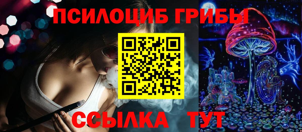 купить наркоту  Галлюциногенные грибы MAGIC MUSHROOMS  Вход с VPN  Гусев 
